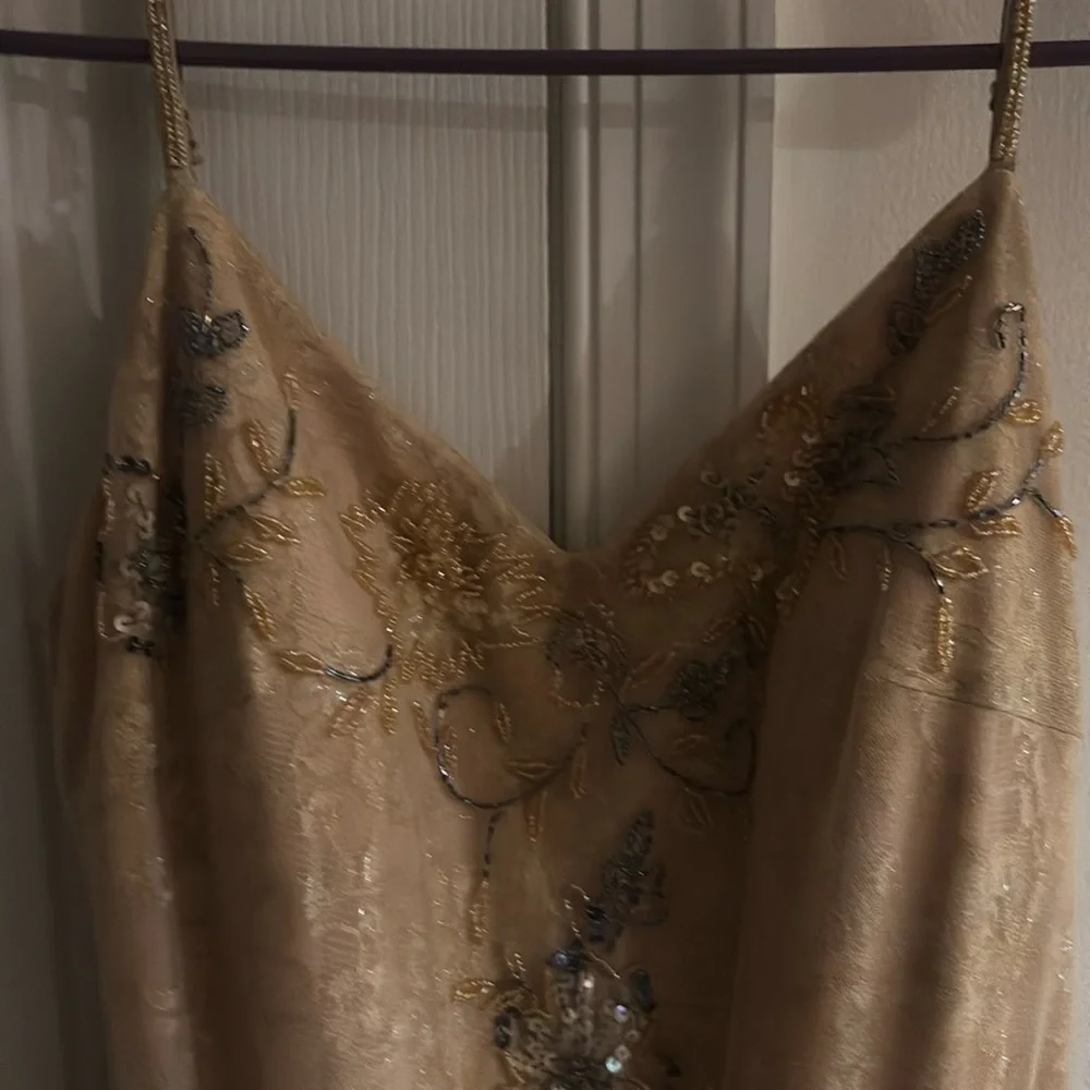 Sue Wong Elegant Cream Gown - Picture 6 of 9